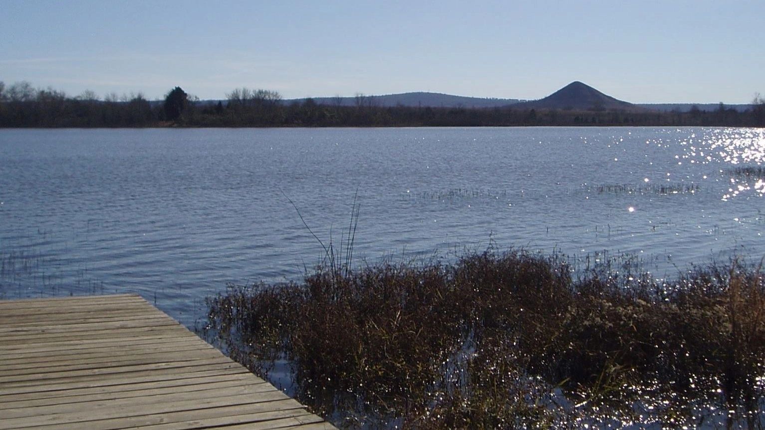 Police City of Charleston, Arkansas